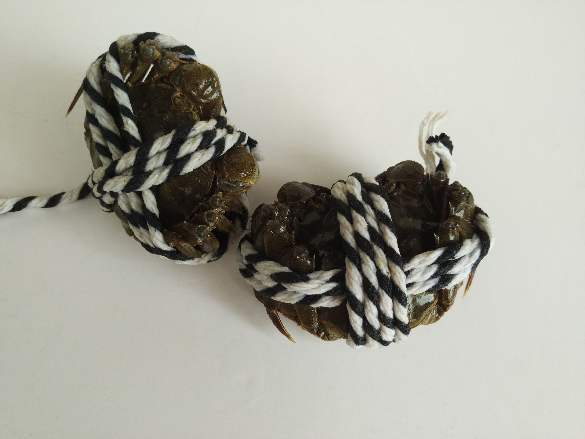 手把手教你清蒸大闸蟹的正确做法,打破常规清蒸大闸蟹也可以这样蒸