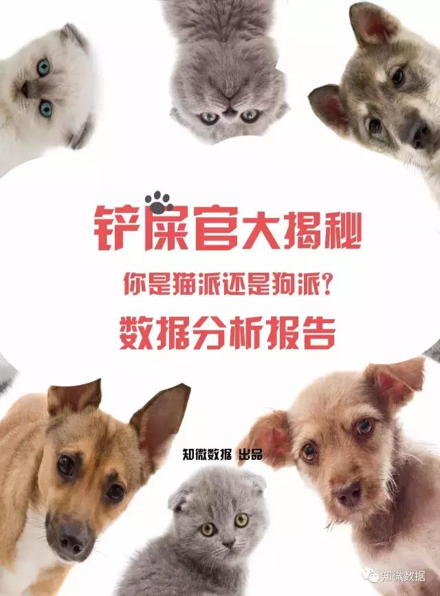 铲屎官大揭秘！你是“猫派”还是“狗派”？