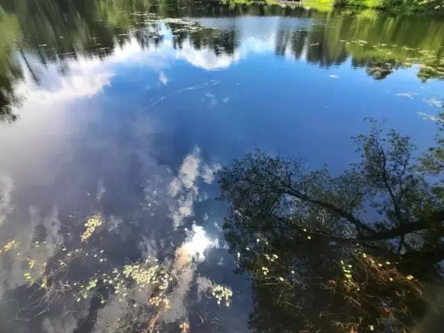 美世带你逛美高｜圣保罗高中