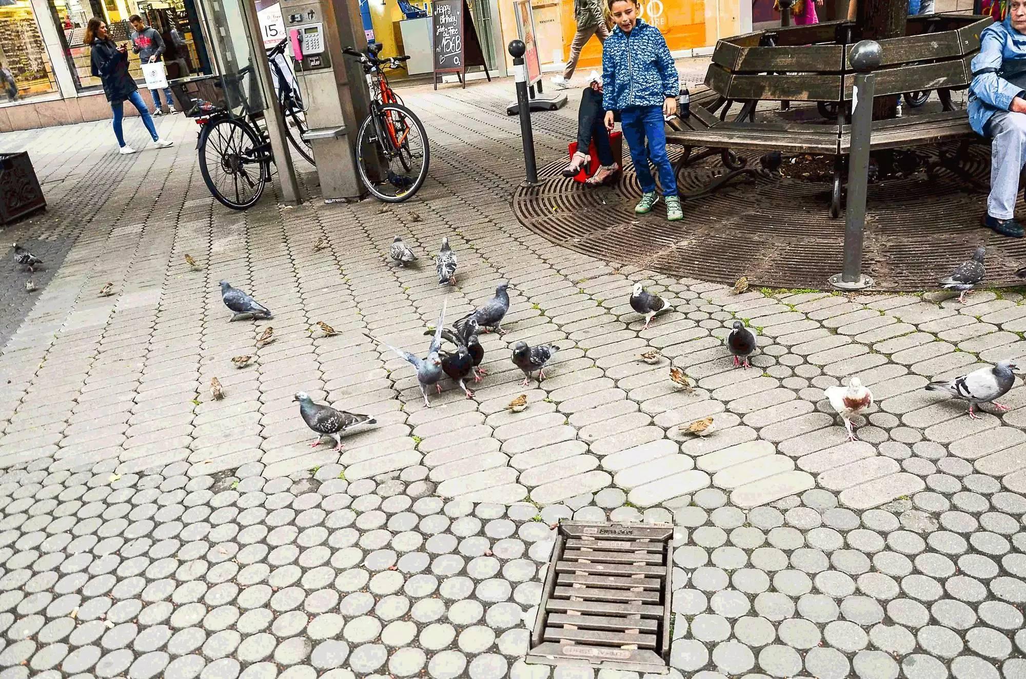 德国的不限速高速公路多少钱,高速公路不收费到哪天