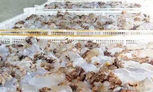 大连最美的海边渔村,大连最美渔村是哪里