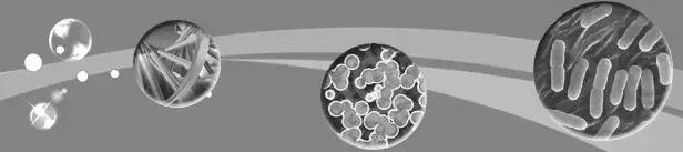 cg运动套装,CG运动品牌