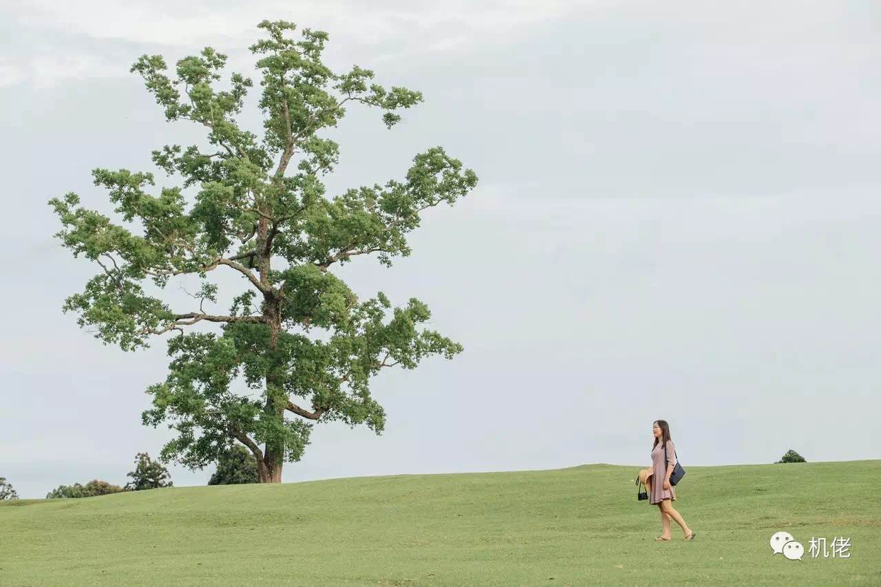 佳能6d2相机好不好,佳能6d2视频测评