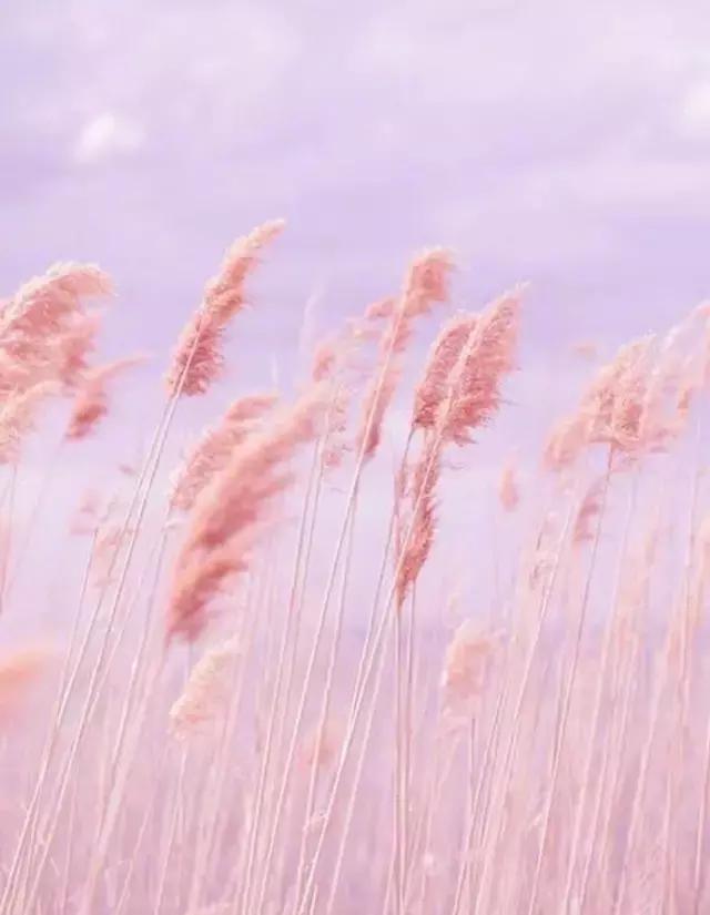 熬夜推荐的眼贴,熬夜必备贴