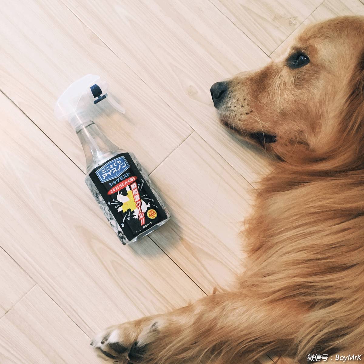 种草清单如何出现在视频,种草冬日必备单品