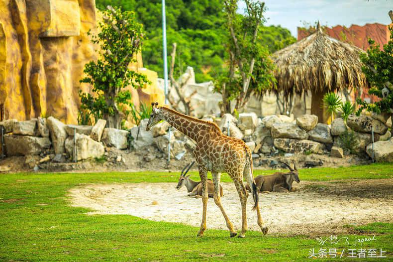 越南最美山庄,越南最美的桃源