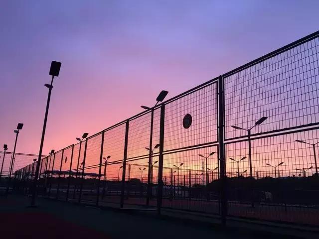 还有哪些实用的手机摄影技巧,手机怎么拍800*800的照片