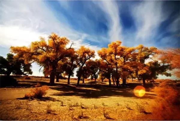 三千年的情缘,三千年的企盼只为这一季的金秋(附攻略)