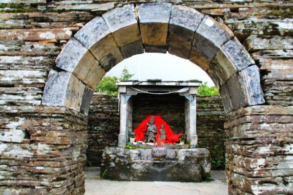 天天有人去山上采蘑菇,每天来观看的游客上万人