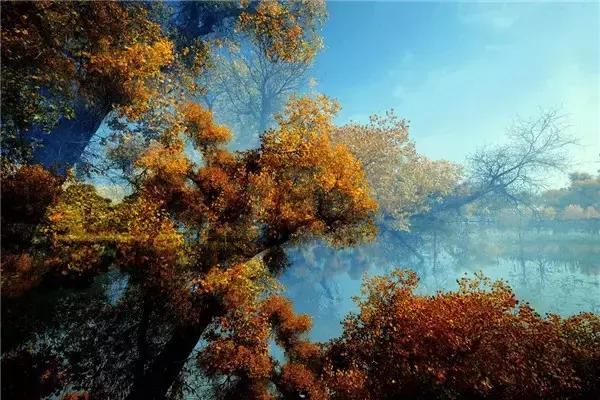 三千年的情缘,三千年的企盼只为这一季的金秋(附攻略)