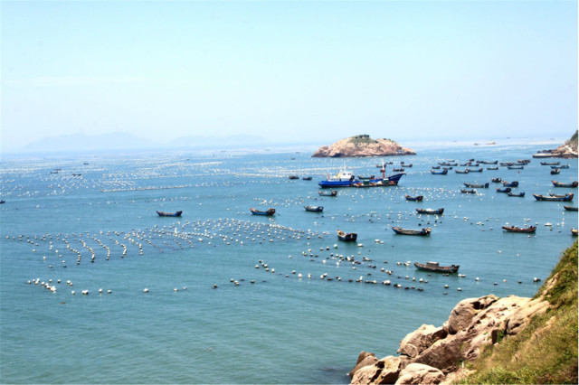 湖州露营看日出地点推荐,湖州自带帐篷过夜露营地