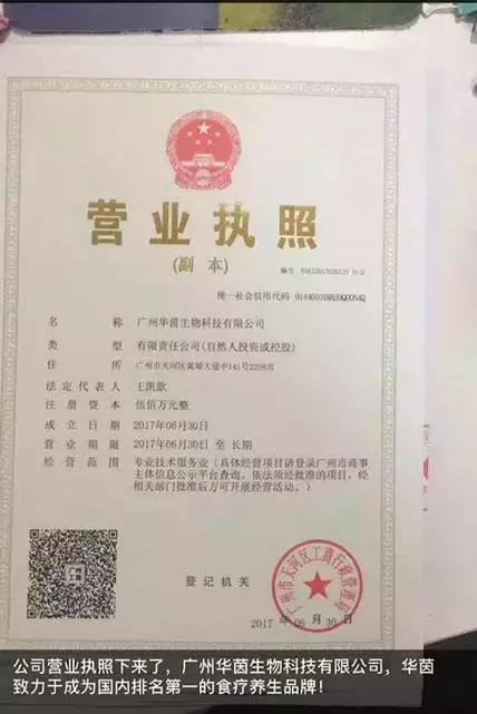 GJSAY光晶说：半年烧掉两千万的98后CEO，现在转行做微