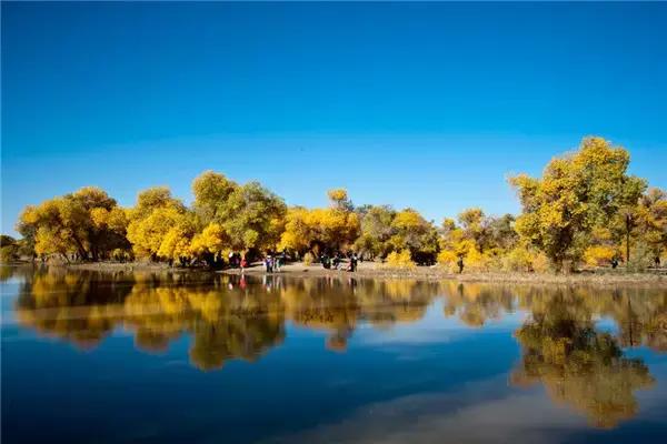 三千年的情缘,三千年的企盼只为这一季的金秋(附攻略)