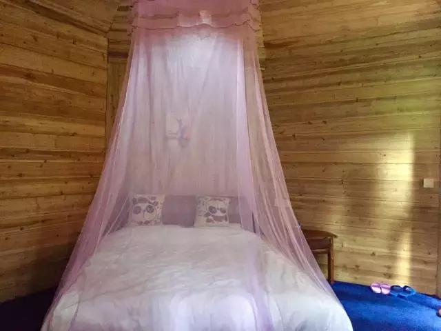 南宝山免费露营耍水,南宝山林海营地有什么耍的