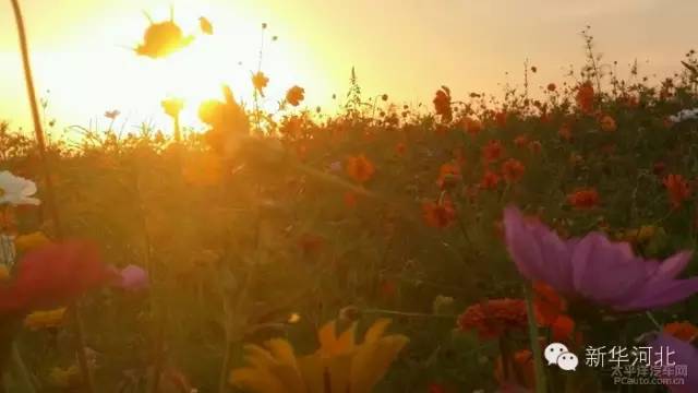 这条飘扬在河北大地的锦绣玉带,真是美爆了