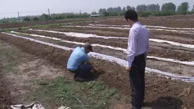 农民找不到耕地确权怎么办,失地农民可以申请宅基地吗