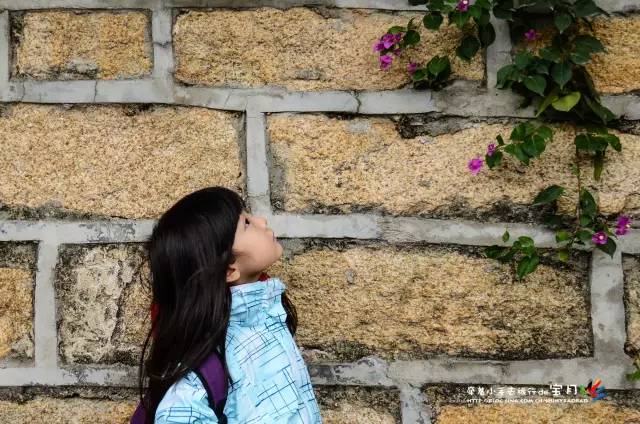 适合亲子旅行的海岛,亲子游玩的海边一日游