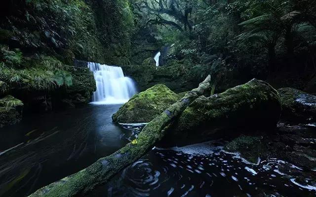 尼康顶级变焦长焦镜头,尼康4800万像素单反