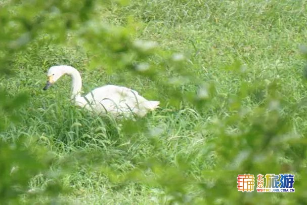 京城最大郊野公园，不仅免费，还藏了好多不为人知的秘密！