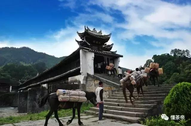 茶马古道的交通,茶马古道路途要经历哪些