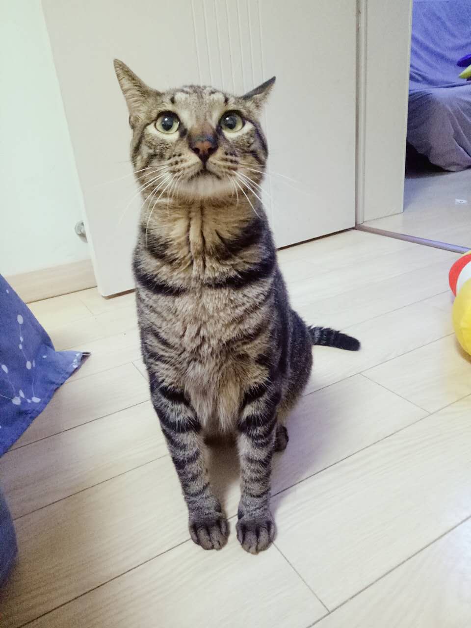 毕业狗月入3000究竟如何在无锡过活？包租婆网上租房指南