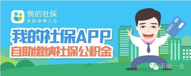 没有公积金卡怎么查询缴费明细,忘记公积金卡号怎么查询