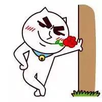 同城号有哪12种类型可做,同城号到底是什么