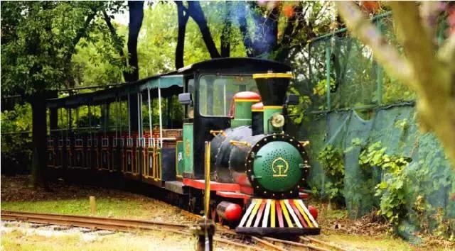 成都周边好玩儿的滑滑梯,成都游乐园滑滑梯