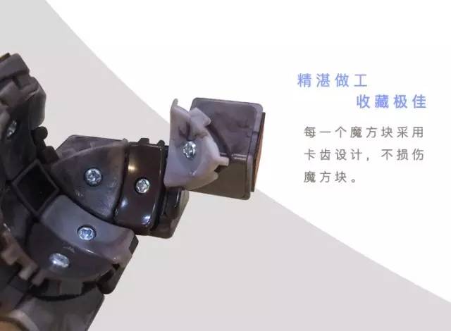 麦菲特带你体验一场原始森林的冒险！