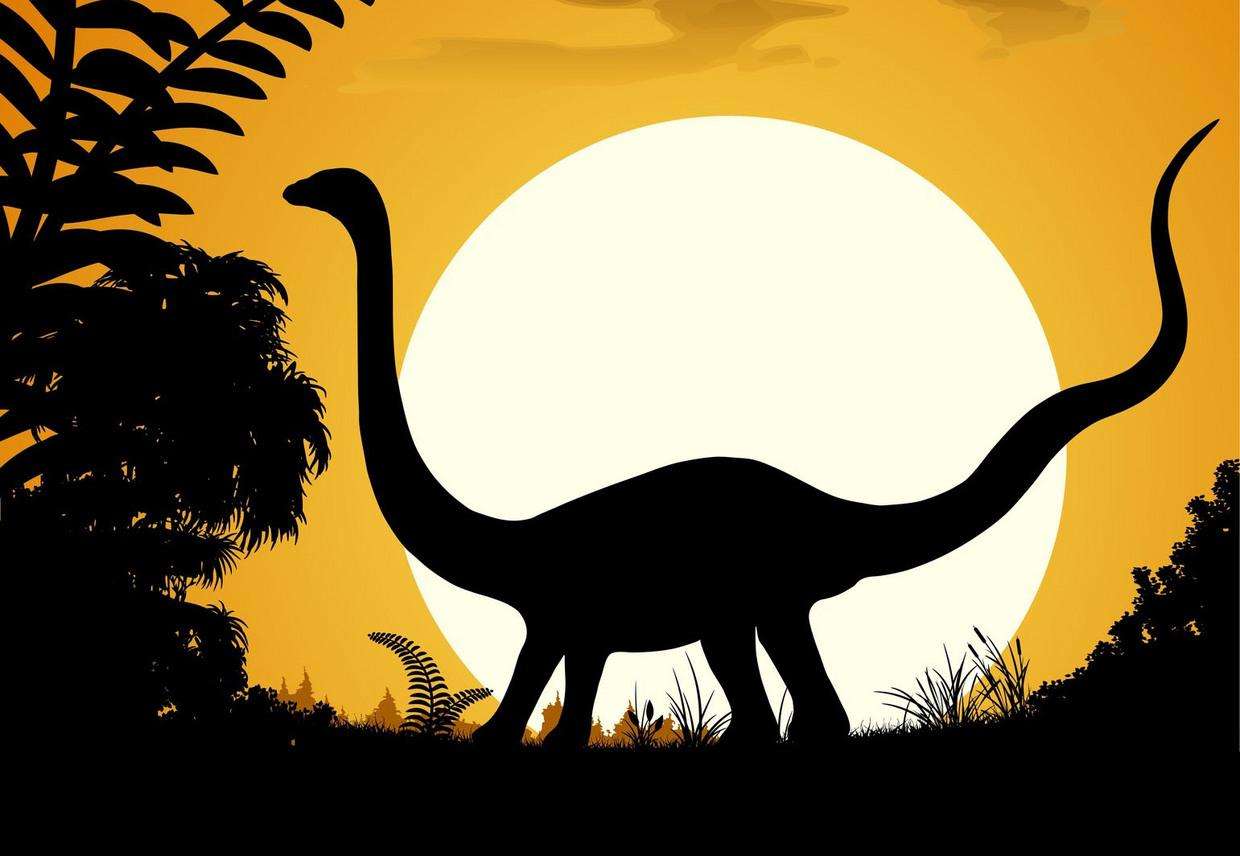 仙人掌市场行情,仙人掌资金盘最新消息