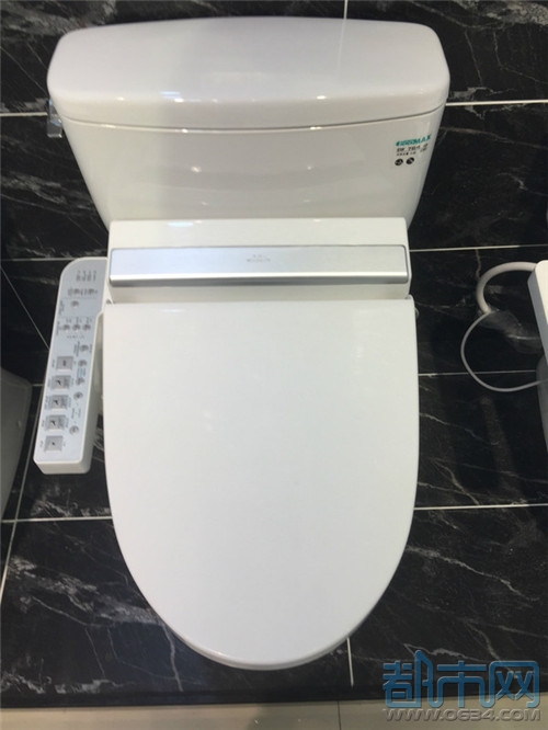 济南智能马桶批发费用,莱芜智能化马桶