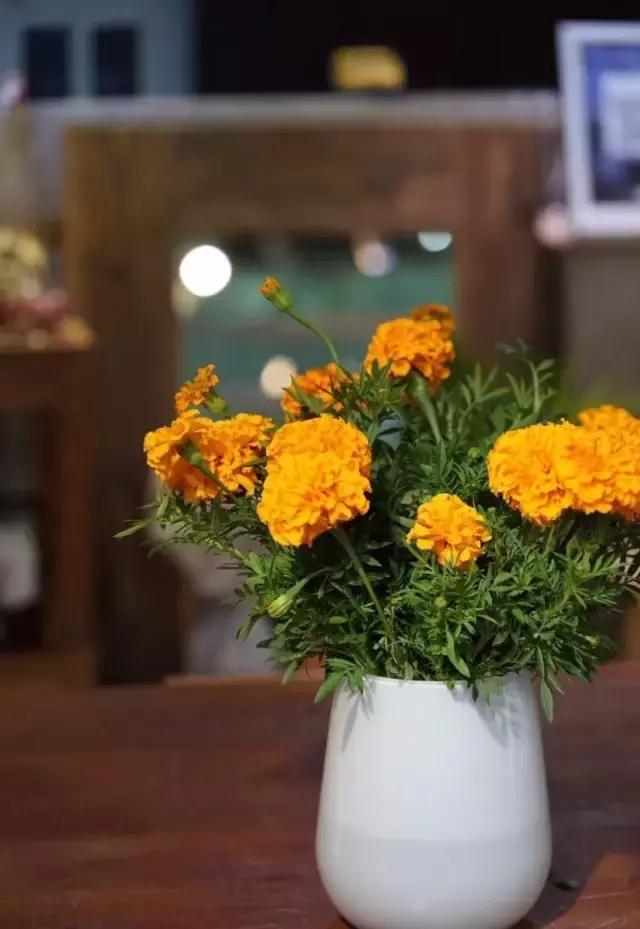 七夕第一次去花店买花应该怎么做,花店七夕节怎么卖花