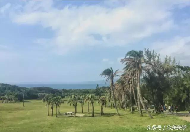 台湾旅行美食攻略,台湾旅游攻略美食