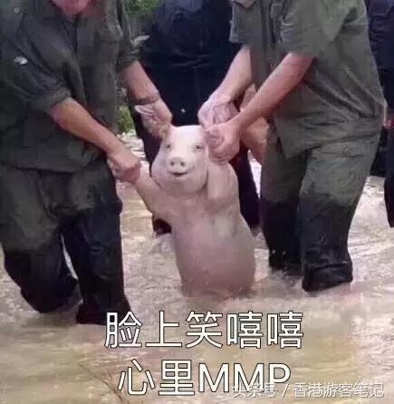 去香港和去日本哪个便宜,去香港和日本哪里便宜