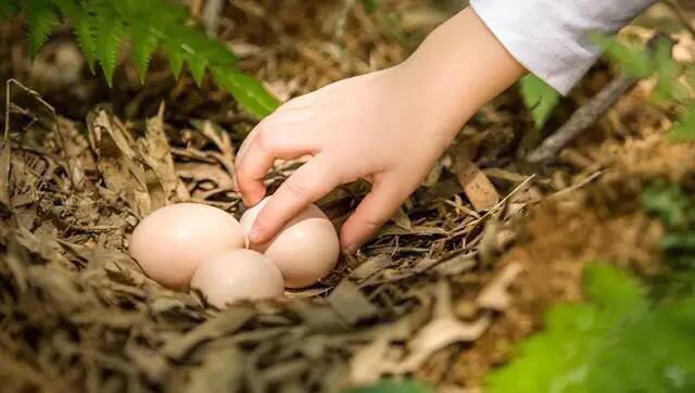 是真的！LadyM我只排了半个小时的队就吃到了！
