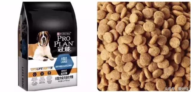 Todayis七夕,这盆狗粮爱妖经替你验过,放心吃吧