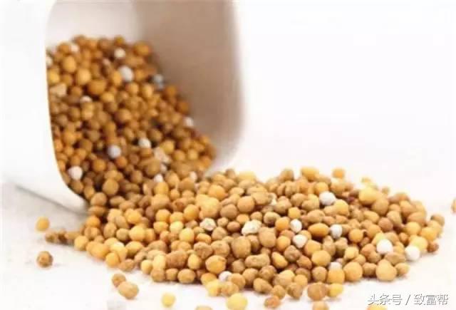 你问我答：“懒汉肥”方便吗？牲畜用药时忌口吗？菜地缺磷怎么办