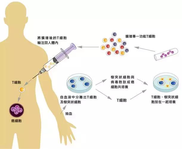 癌症治疗最新成果相关公司,诺贝尔治疗癌症新疗法