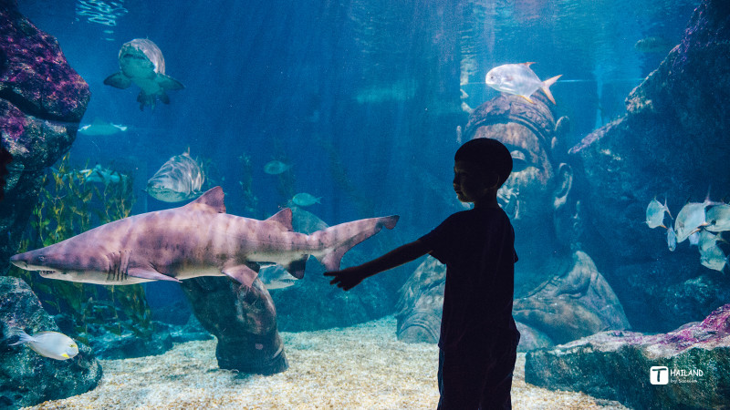带你一起去泰国看海,回忆那年在泰国踏浪看海