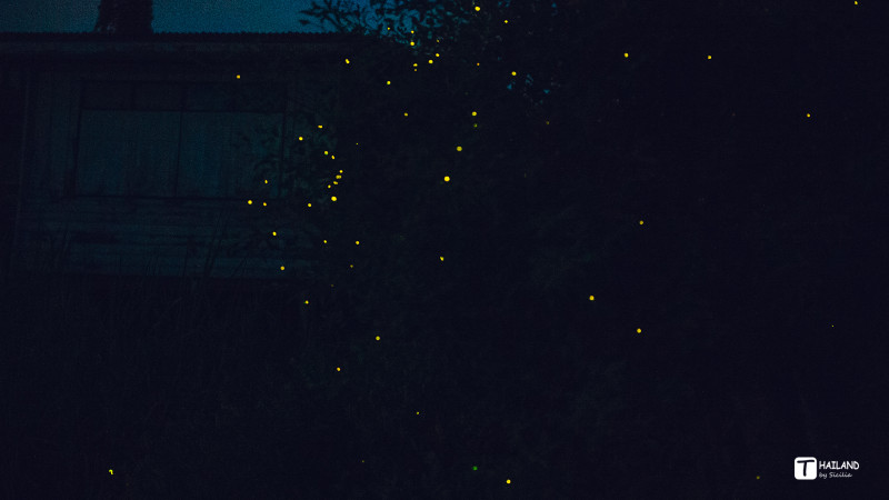 回忆那年在泰国踏浪看海,带你一起去泰国看海