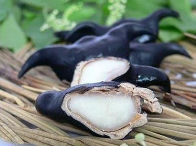 中国特有的蔬菜,中国特有蔬菜水果