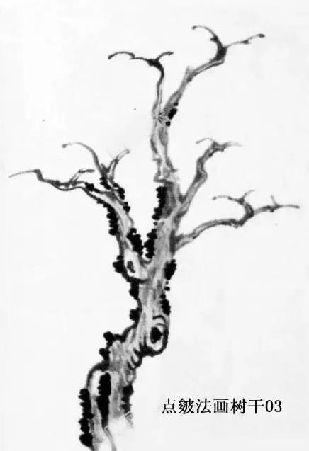 最简单的树干画法,树干的简便画法