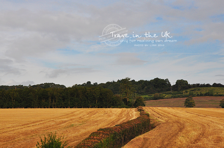 曼彻斯特老特拉福德球场英文,曼彻斯特老特拉福德球场航拍