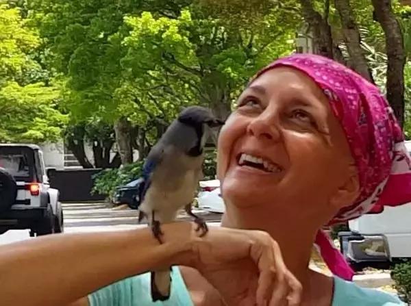 第一季权游7集,权游美剧全集