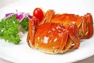 羊口开海！倒计时一天！第一网吃起来！看完哈喇子流一地