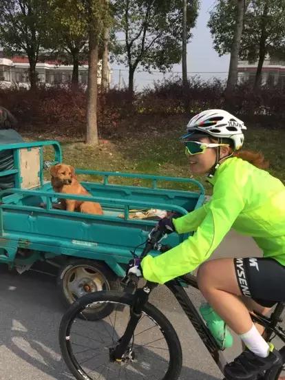 骑自行车同伴被狗咬,骑自行车被狗咬了怎么办