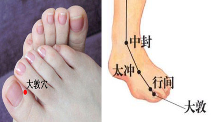 宫廷玉液酒能喝几杯,美酒玉液的功效