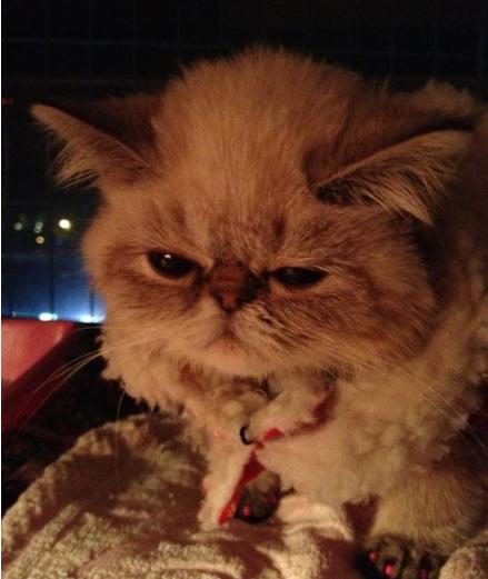 家境贫寒的娶了个很优秀的女孩,家境普通的男人娶了富家女