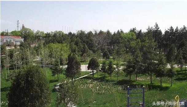 成县兰山公园,兰山公园的图片