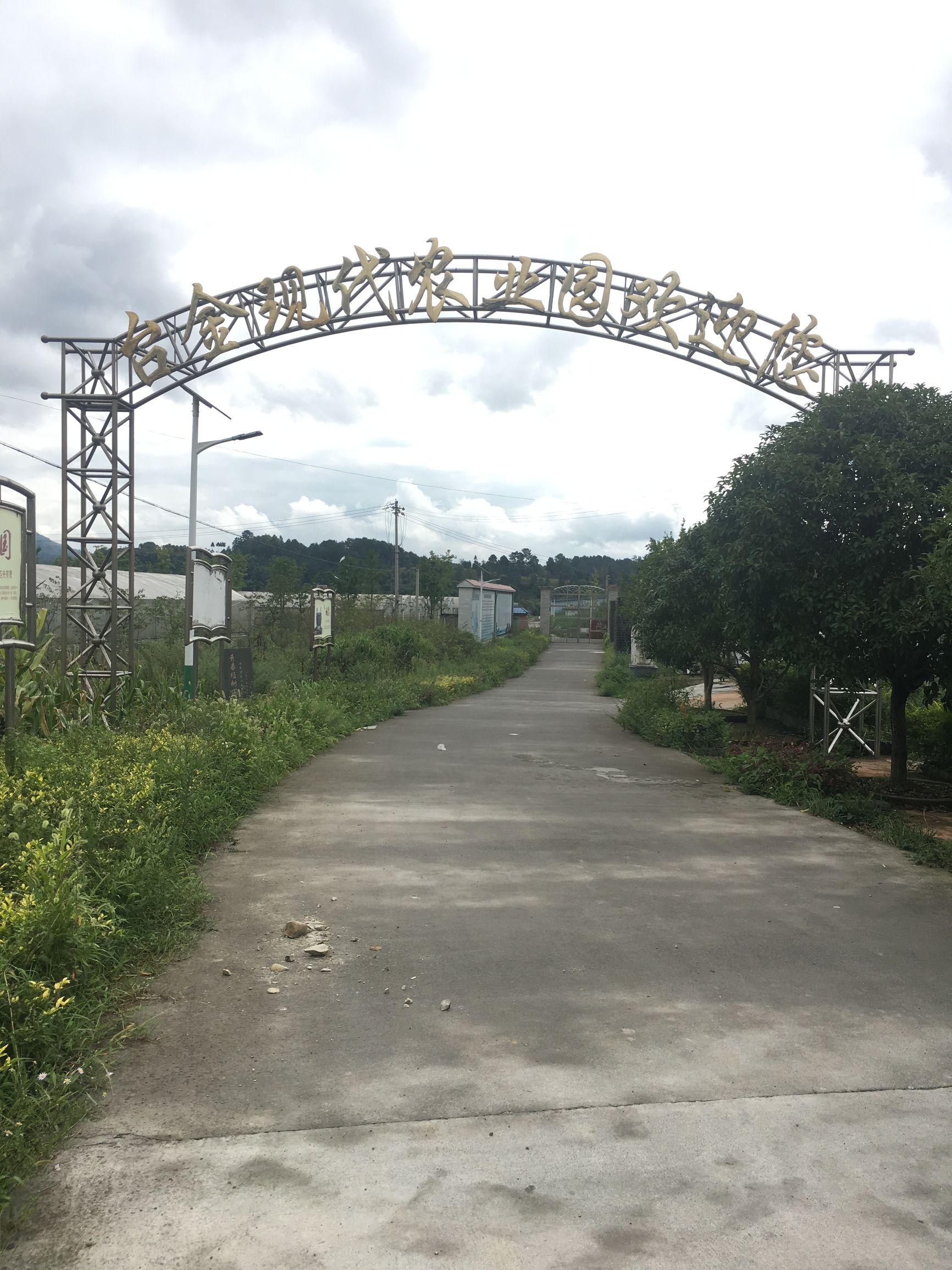 贵州金沙旅游项目,金沙县台金农业观光园